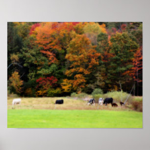 Boerderij Herfst gebladerte Koeien in Field Orton  Poster