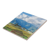 Boerderij in de oostelijke bergen van Bhutan - Him Tegeltje (Zijkant)