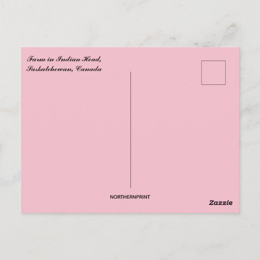 Boerderij in Indiaas Hoofd Saskatchewan Nederland Briefkaart (Achterkant)