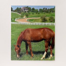 Boerderij in Kentucky Legpuzzel