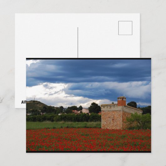 Boerderij in klaprozenveld briefkaart (Voorkant / Achterkant)