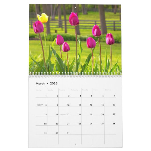 boerderij kalender 2019 (Mar 2026)