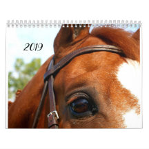 boerderij  kalender 2019