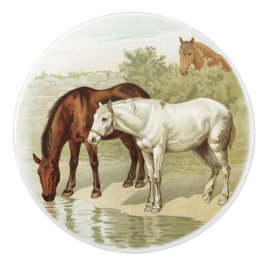  Boerderij Keramische Knop