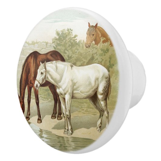  Boerderij Keramische Knop (Rechts)