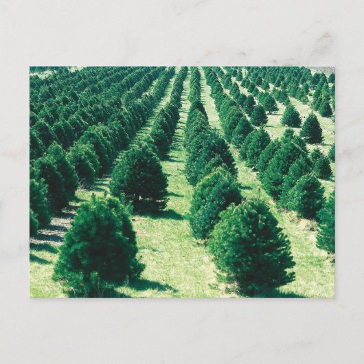 Boerderij kerstbomen feestdagenkaart (Voorkant)