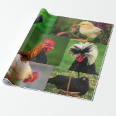 Boerderij Kippen Foto Collage Cadeaupapier (Uitgerold)