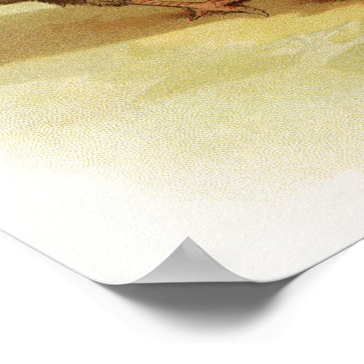  Boerderij kippen Poster (Hoek)