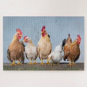 Boerderij kippen Roosters Natuur Dieren Schuif Legpuzzel