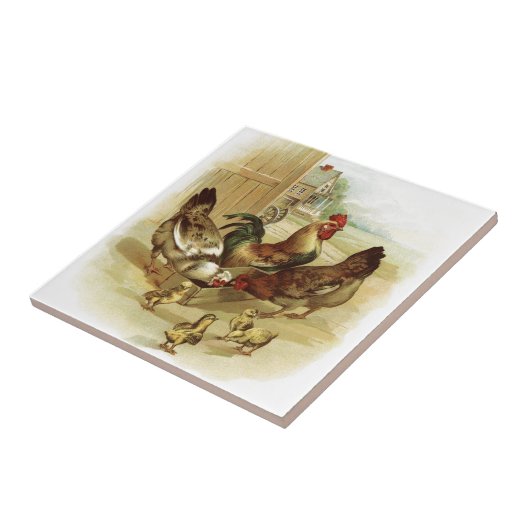  Boerderij kippen Tegeltje (Zijkant)