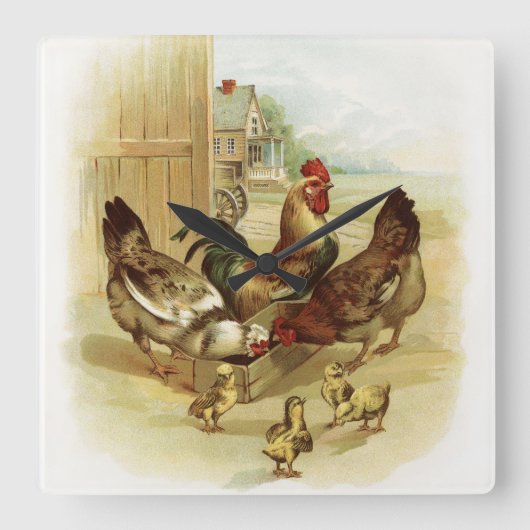  Boerderij kippen Vierkante Klok (Voorkant)