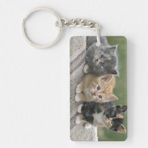 Boerderij Kittens op een Paardendeken Sleutelhanger