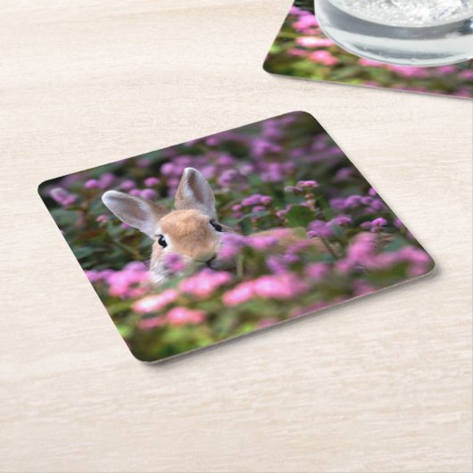 Boerderij konijn kartonnen onderzetters (Schuin)