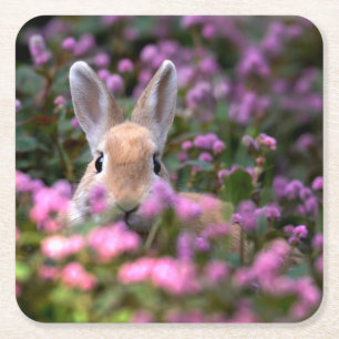 Boerderij konijn kartonnen onderzetters