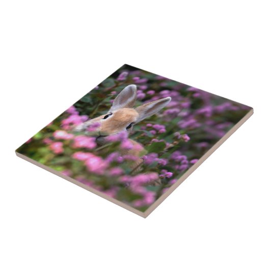 Boerderij konijn tegeltje (Zijkant)