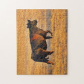 Boerderij Kunst Angus Koe bij Zonsondergang Puzze Legpuzzel (Verticaal)