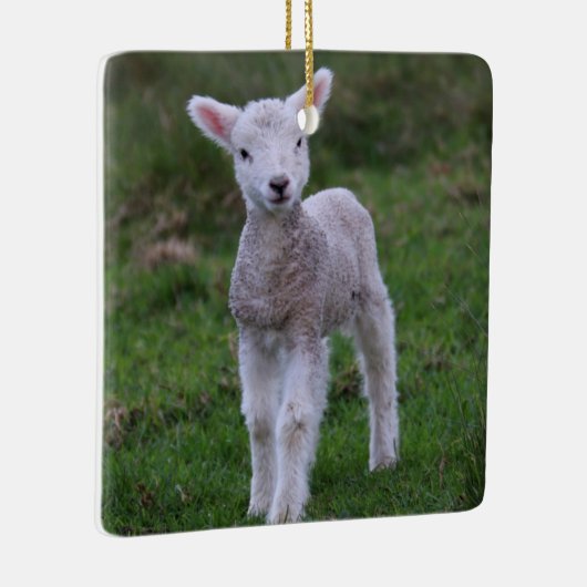 Boerderij lammeren Baby Keramisch Ornament (Rechts)