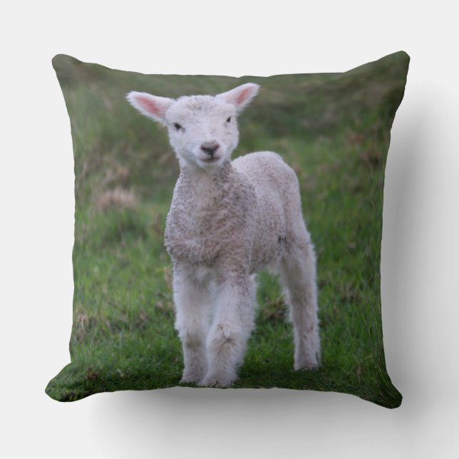 Boerderij lammeren Baby Kussen (Voorkant)