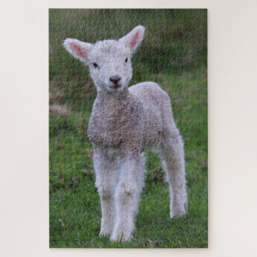 Boerderij lammeren Baby Legpuzzel (Verticaal)