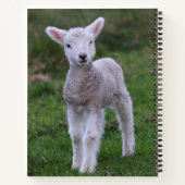 Boerderij lammeren Baby Notitieboek (Achterkant)