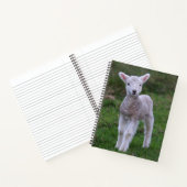 Boerderij lammeren Baby Notitieboek (Binnen)