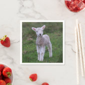 Boerderij lammeren Baby Servet (Insitu)
