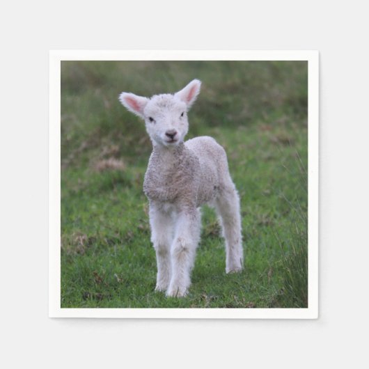 Boerderij lammeren Baby Servet (Voorkant)