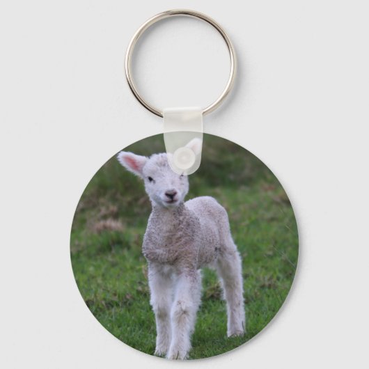 Boerderij lammeren Baby Sleutelhanger (Voorkant)