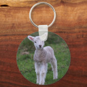 Boerderij lammeren Baby Sleutelhanger (Voorkant)