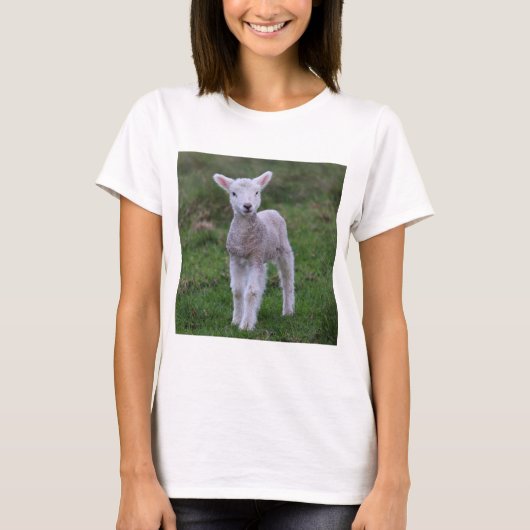 Boerderij lammeren Baby T-shirt (Voorkant)