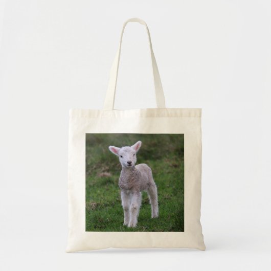 Boerderij lammeren Baby Tote Bag (Voorkant)