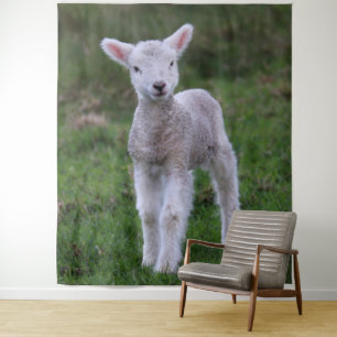 Boerderij lammeren Baby Wandkleed