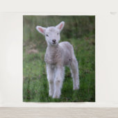 Boerderij lammeren Baby Wandkleed (Voorkant)