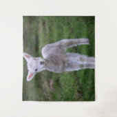 Boerderij lammeren Baby Wandkleed (Voorkant)