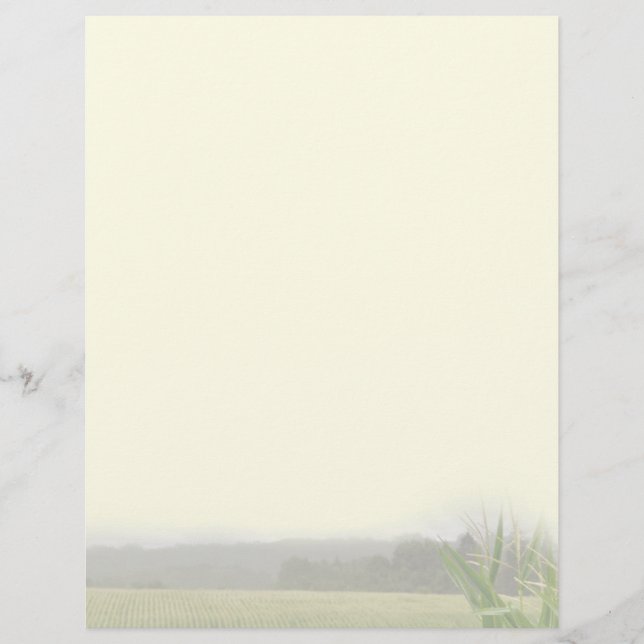 Boerderij landschap met mais planten blanco (Voorkant)