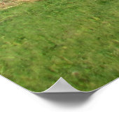 boerderij landschap poster (Hoek)