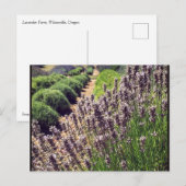 Boerderij lavender briefkaart (Voorkant / Achterkant)