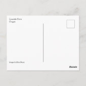 Boerderij lavender briefkaart (Achterkant)