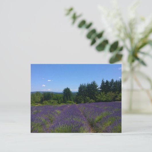 Boerderij lavender briefkaart (Staand voorkant)