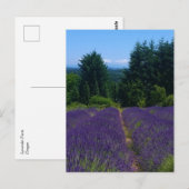 Boerderij lavender briefkaart (Voorkant / Achterkant)