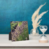 Boerderij lavender fotoplaat (Insitu)