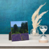 Boerderij lavender fotoplaat (Insitu)
