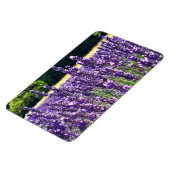 Boerderij lavender magneet (Linkerzijde)