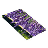 Boerderij lavender magneet (Rechterzijde)