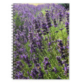 Boerderij lavender notitieboek (Voorkant)