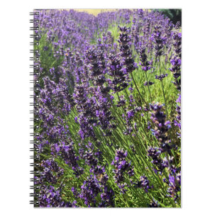 Boerderij lavender notitieboek