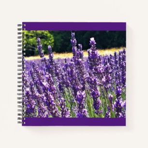 Boerderij lavender notitieboek