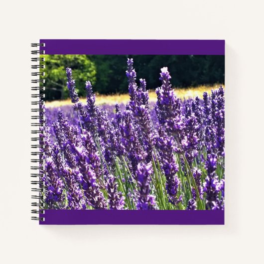 Boerderij lavender notitieboek (Voorkant)