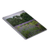Boerderij lavender notitieboek (Rechterzijde)
