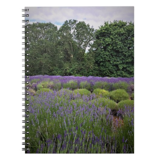 Boerderij lavender notitieboek (Voorkant)